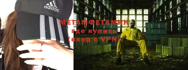 крисы Бородино