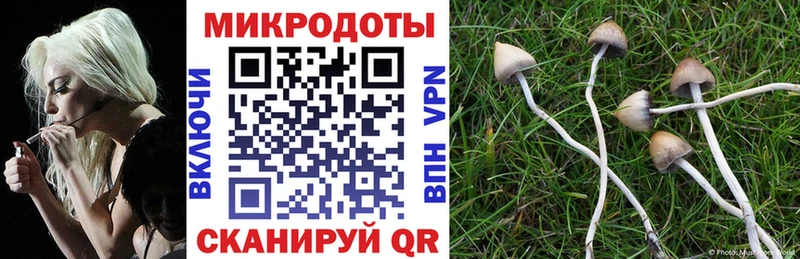 Галлюциногенные грибы мицелий  где купить   Кимовск 